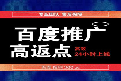 知名SEM公司案例分析：优化策略与成果